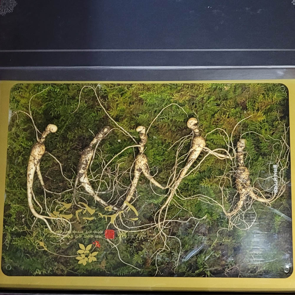 1673319212 thumbnail