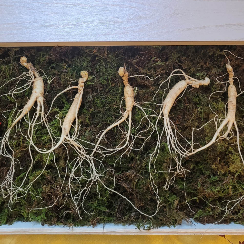 1673319213 thumbnail