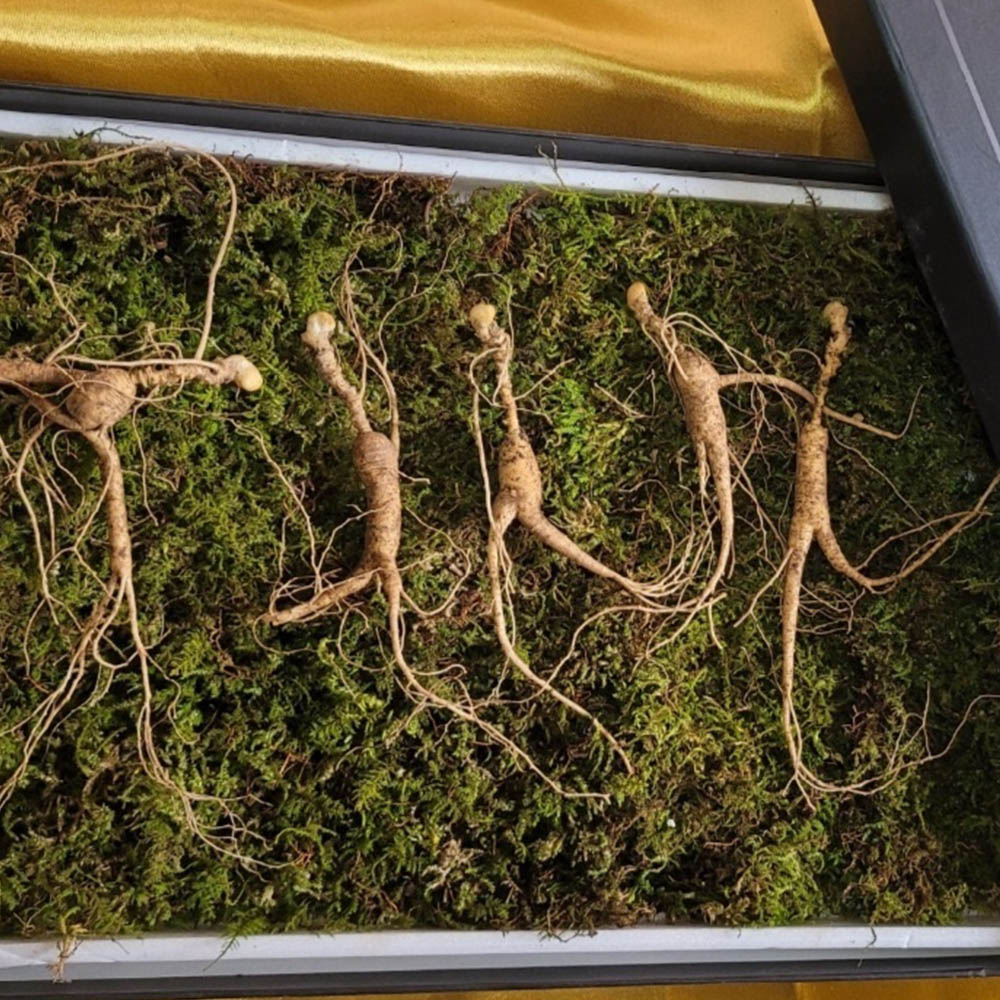 1673319214 thumbnail