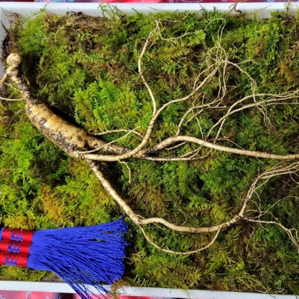 1673319215 thumbnail