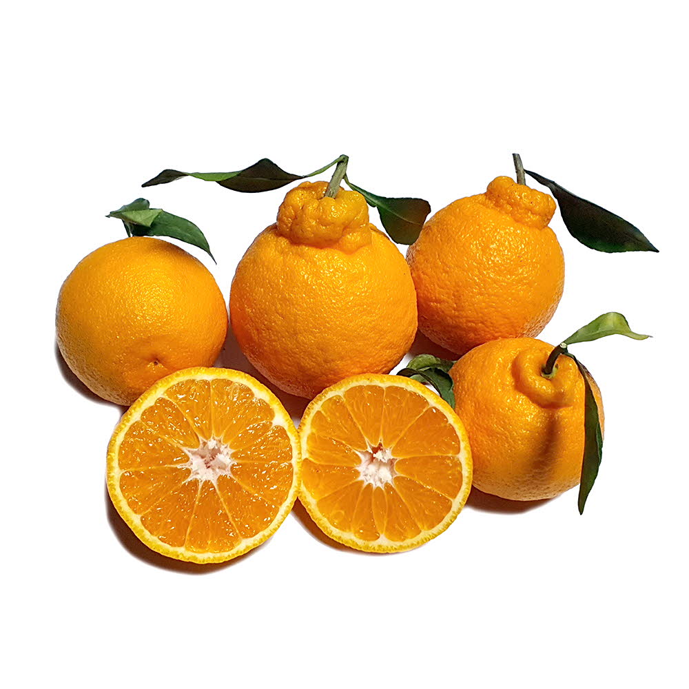 1673323901 thumbnail