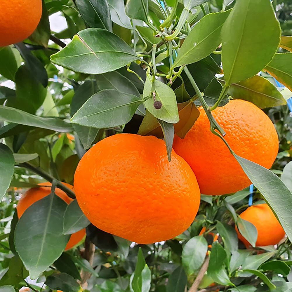 1673323902 thumbnail