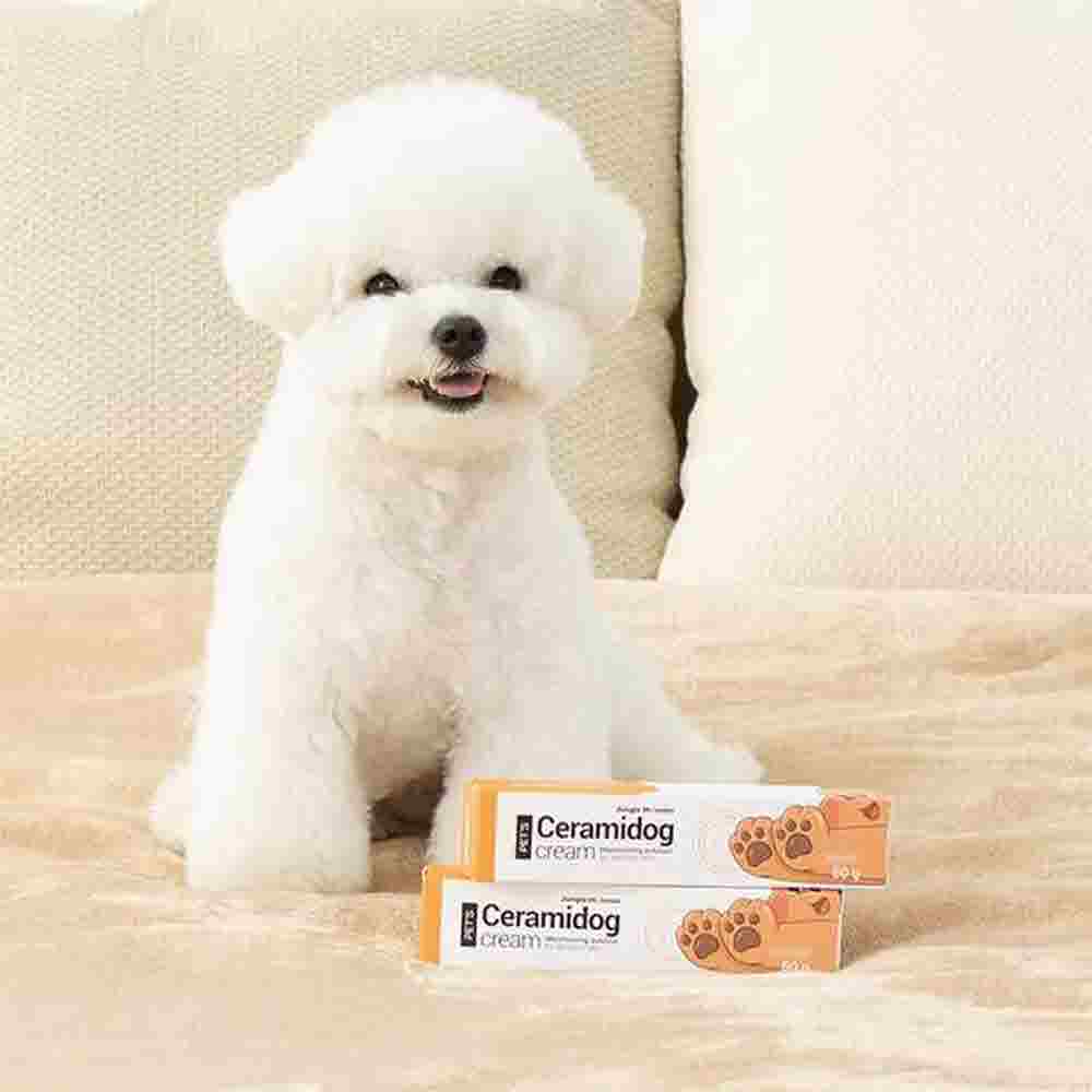 1673586988 thumbnail