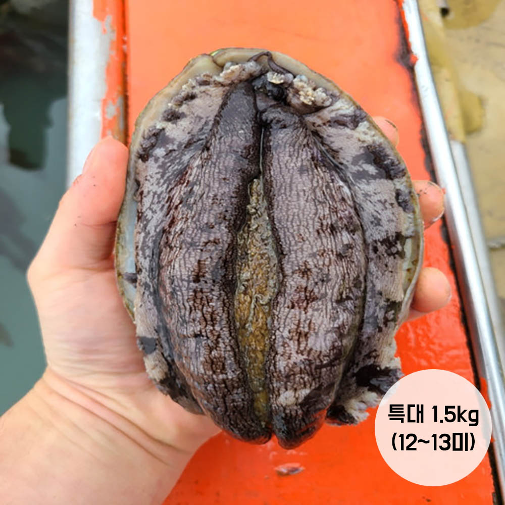 1673834187 thumbnail