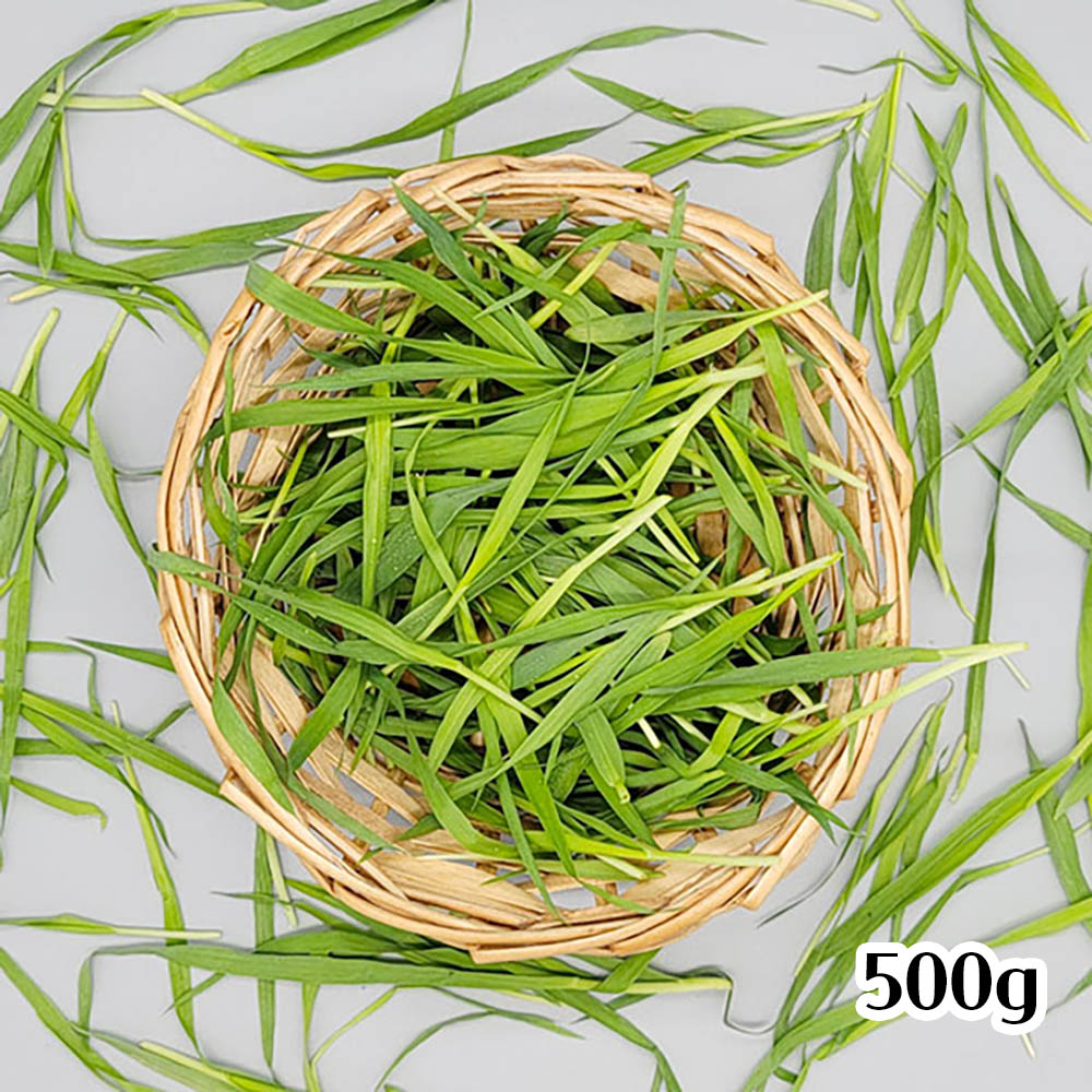 1673923843 thumbnail