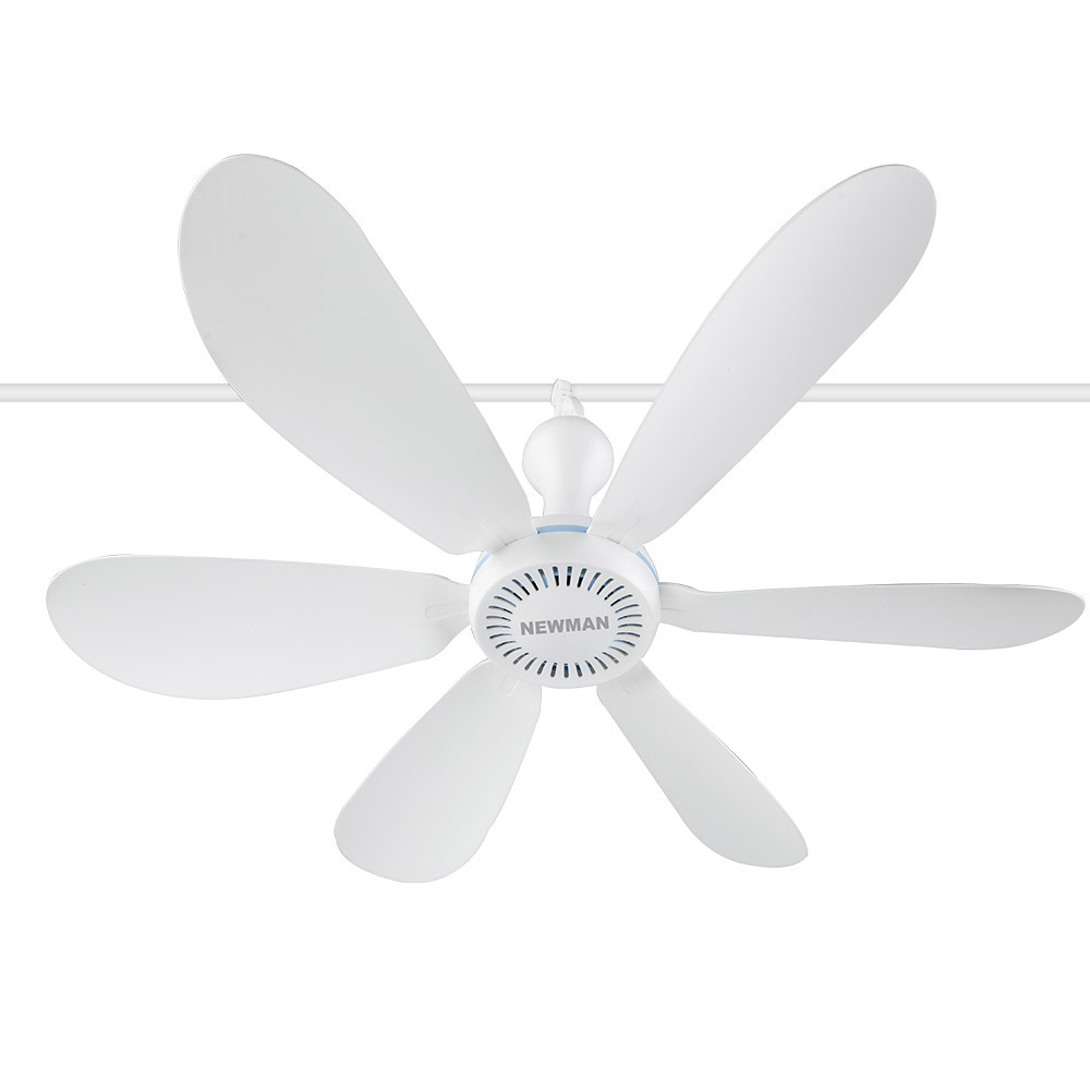 1674106198 thumbnail