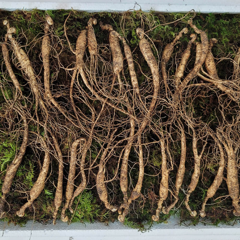 1674784296 thumbnail