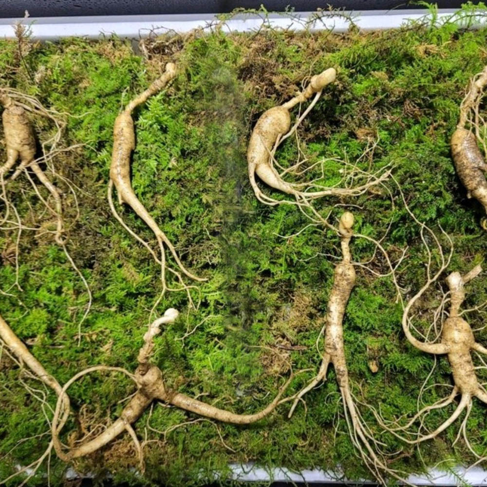 1674784297 thumbnail