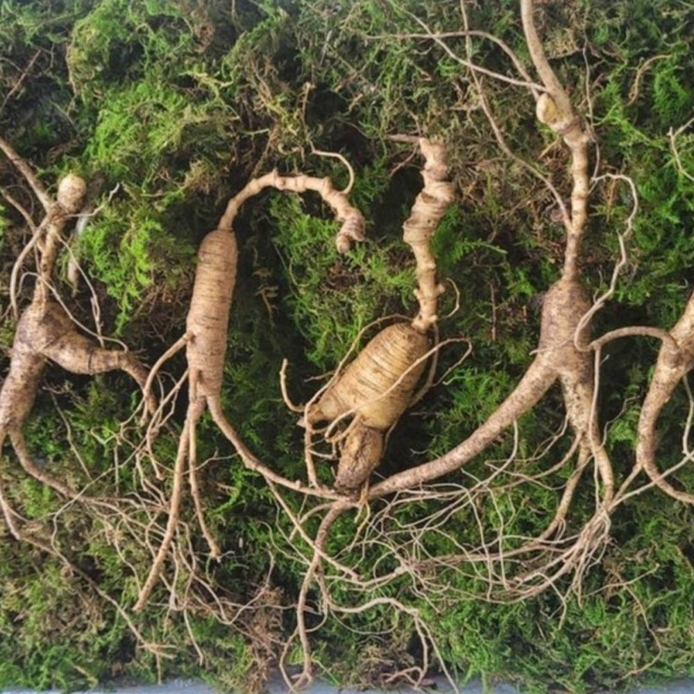 1674784298 thumbnail