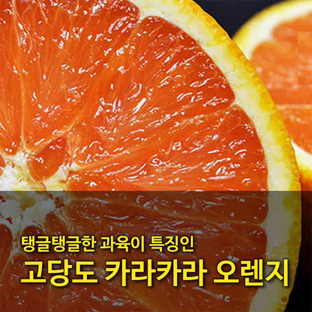 1675313077 thumbnail