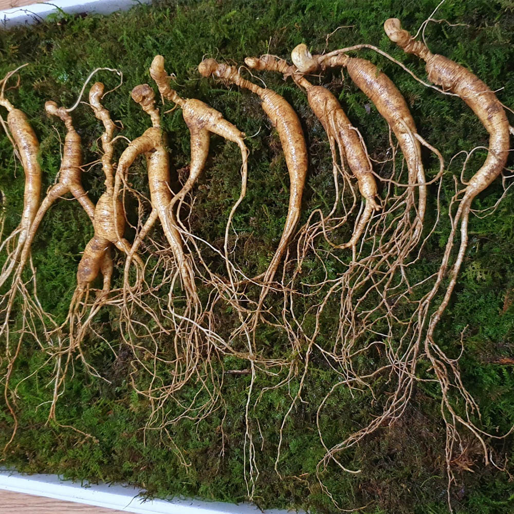 1675326644 thumbnail