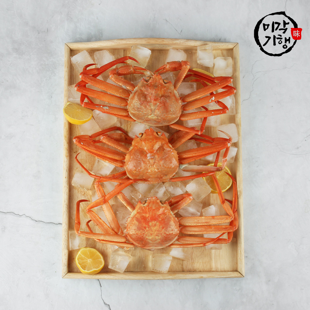 1675327266 thumbnail