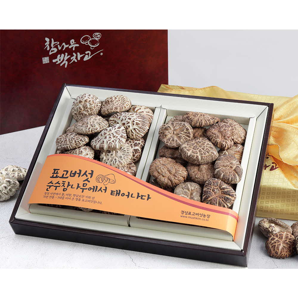 1676258307 thumbnail