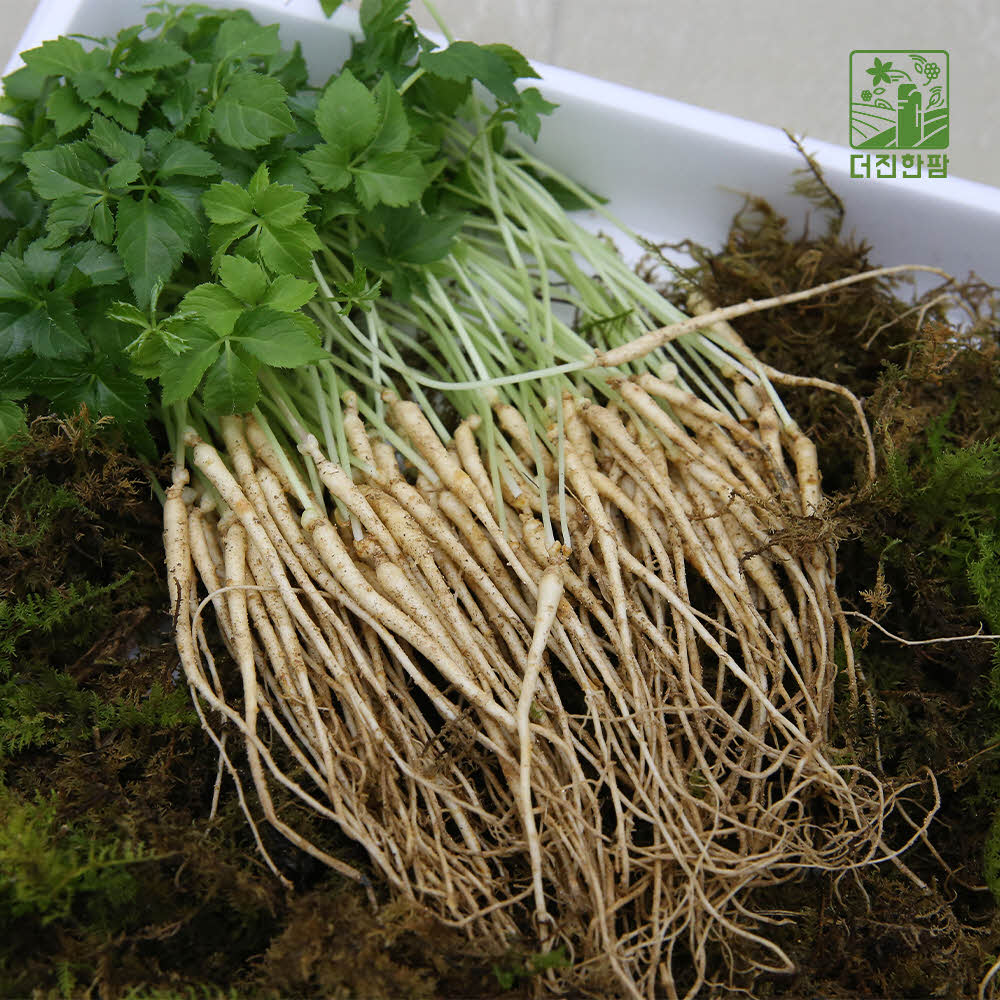 1676518619 thumbnail