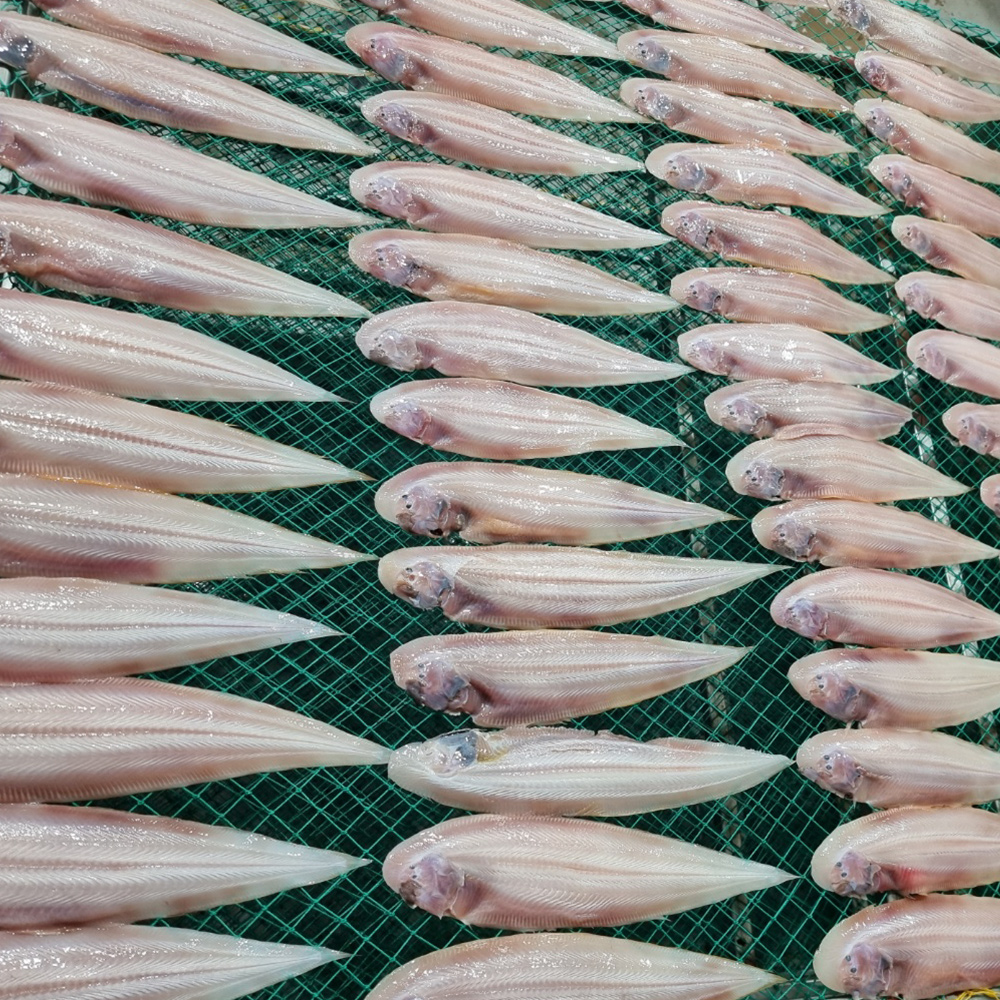 1676536263 thumbnail