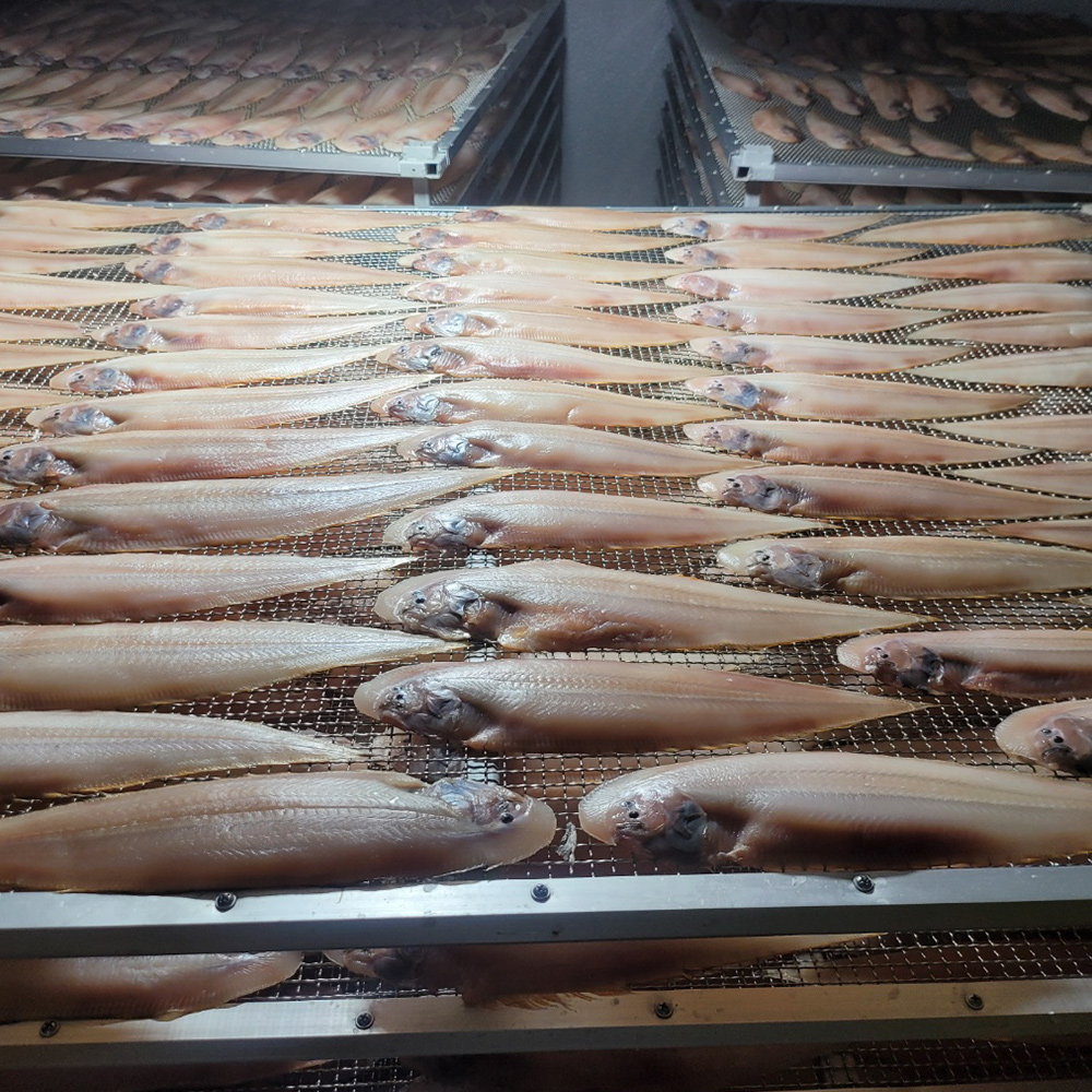 1676536264 thumbnail