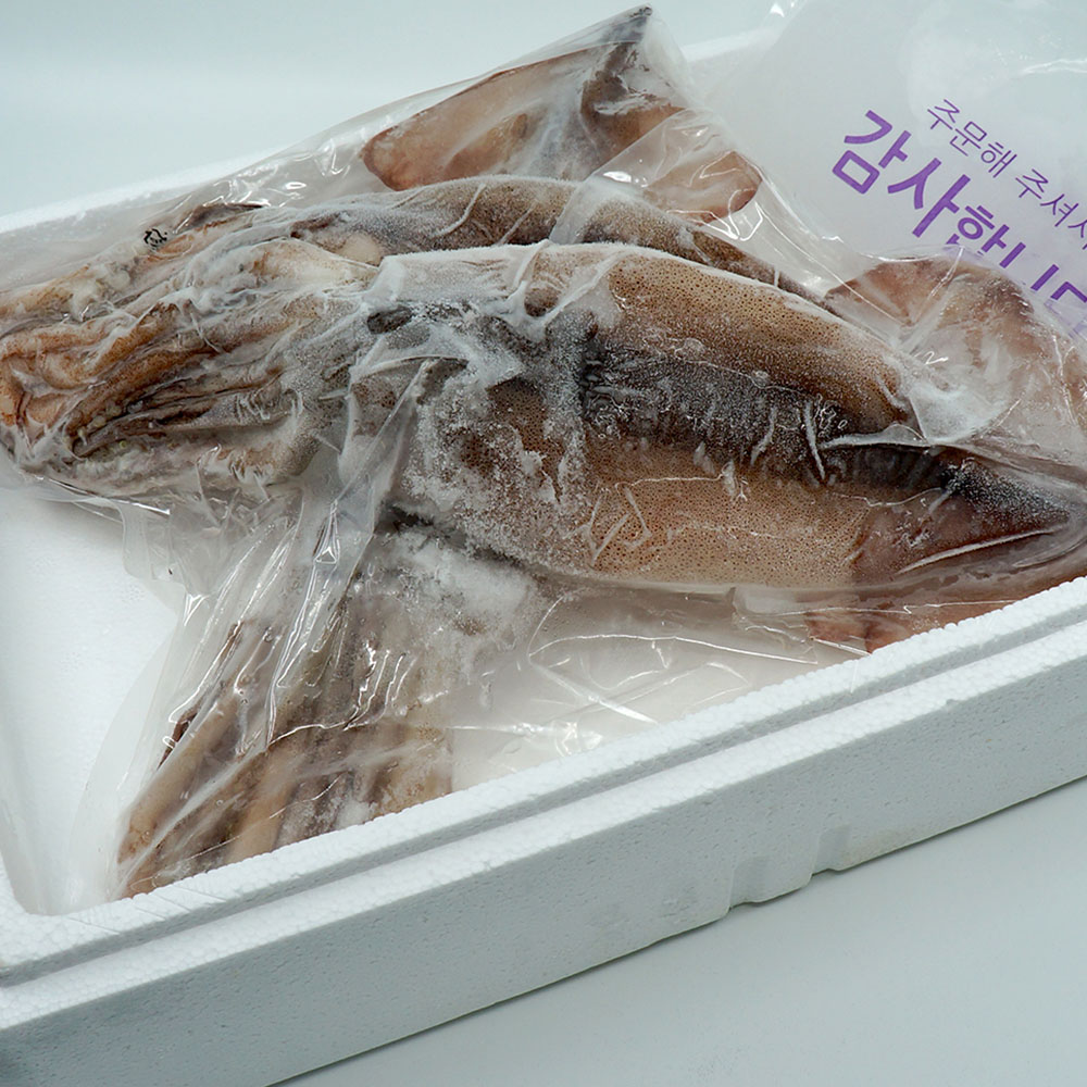 1676607665 thumbnail