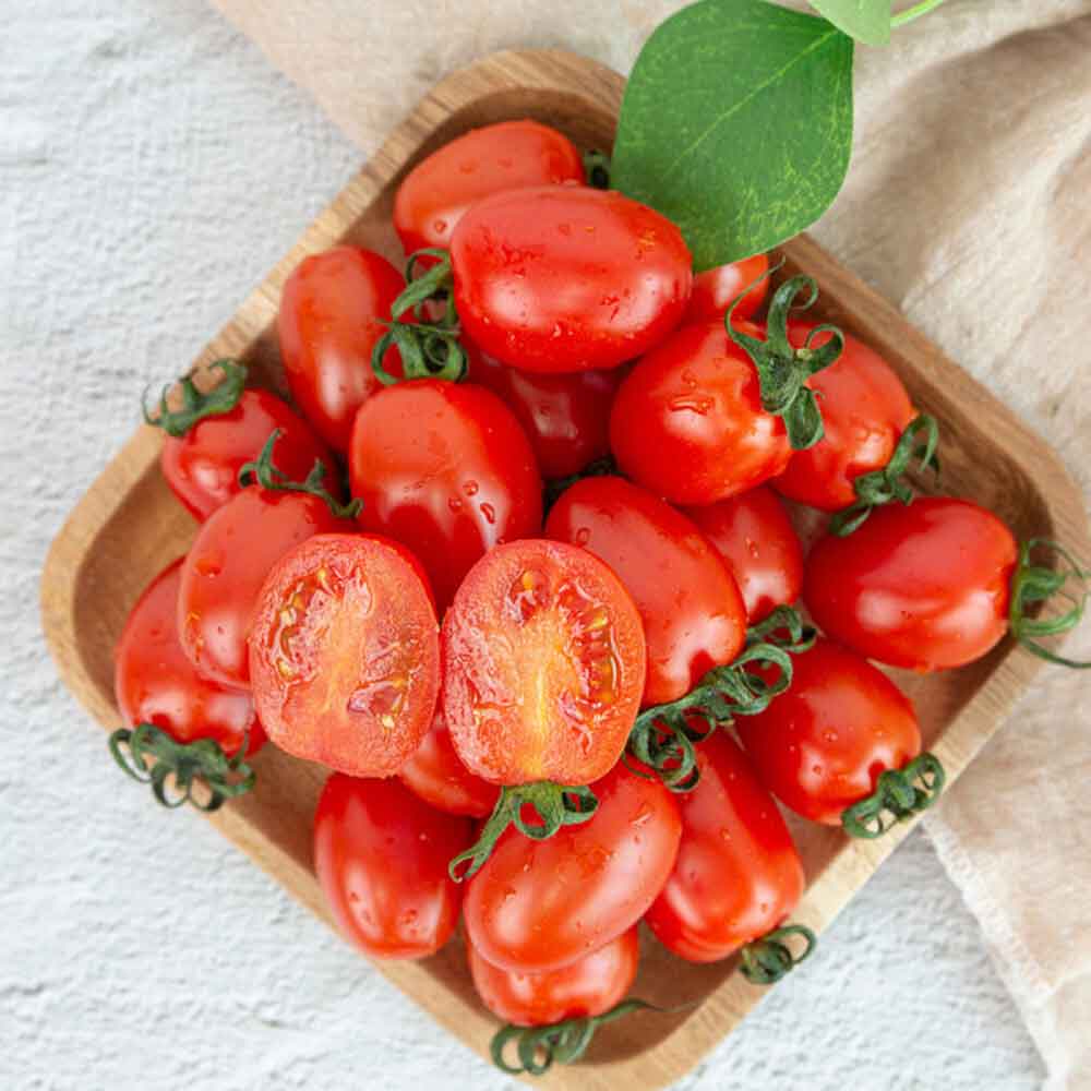 1676878472 thumbnail