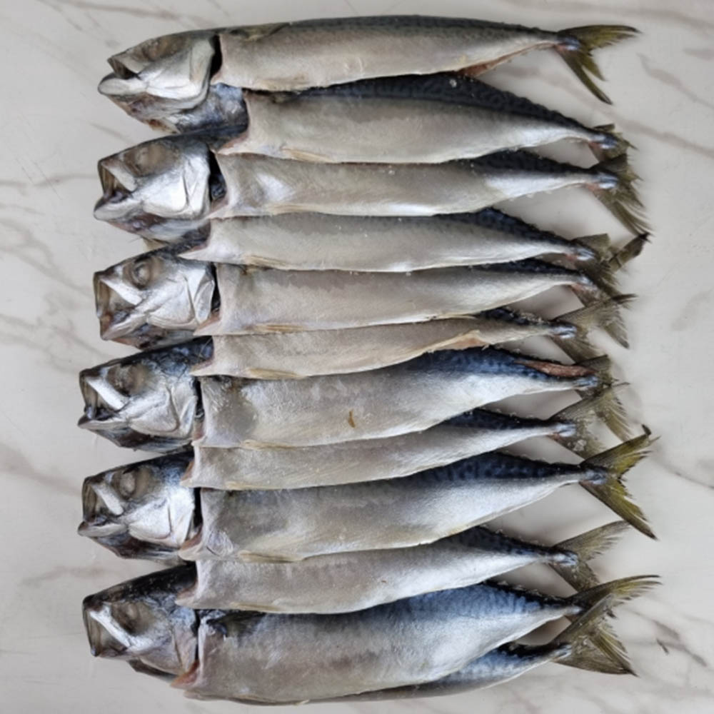 1676967820 thumbnail