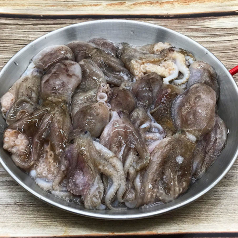 1676967821 thumbnail