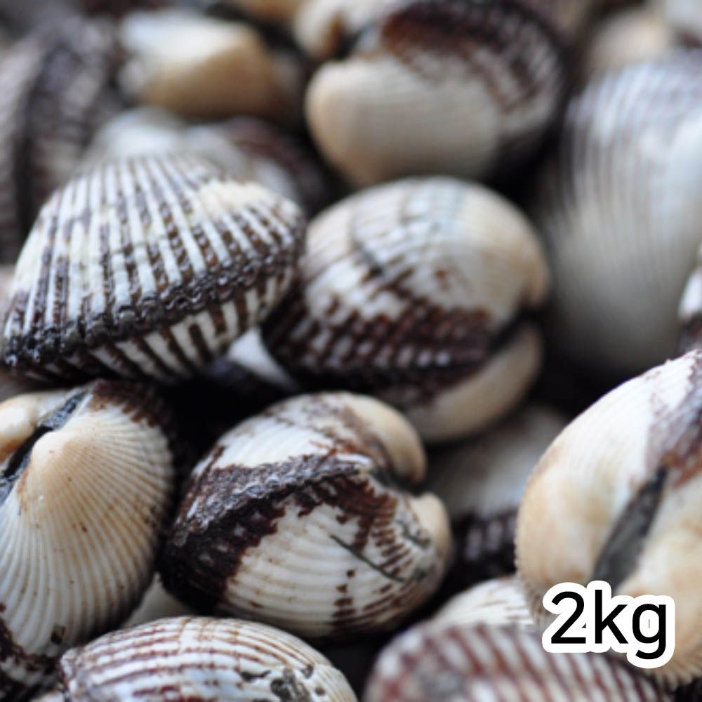 1676967824 thumbnail