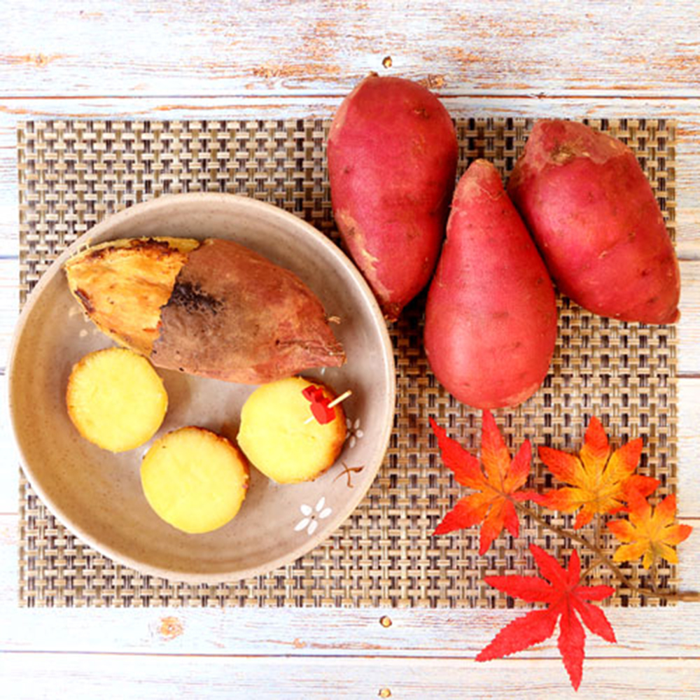 1677055871 thumbnail