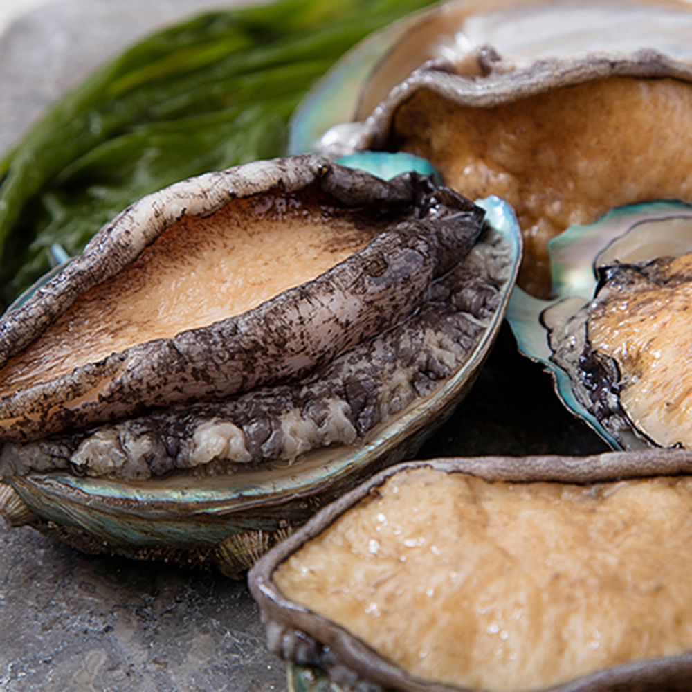 1677055889 thumbnail