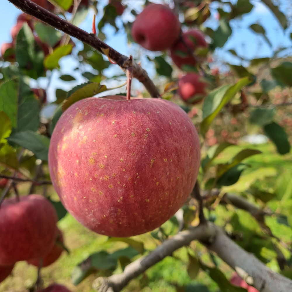 1677137023 thumbnail