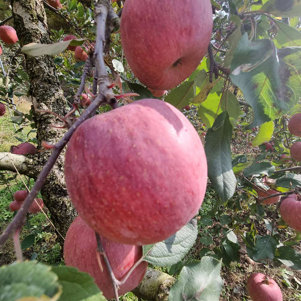 1677137024 thumbnail