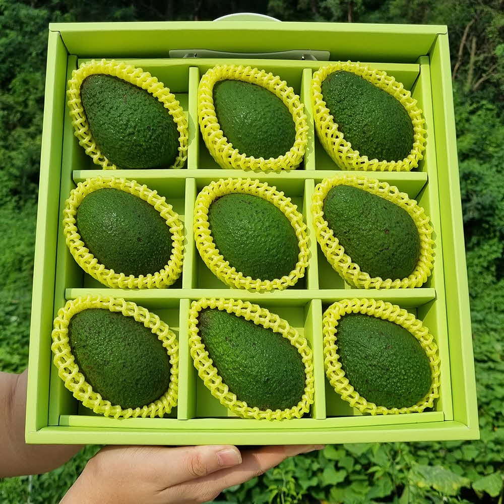 1677137027 thumbnail