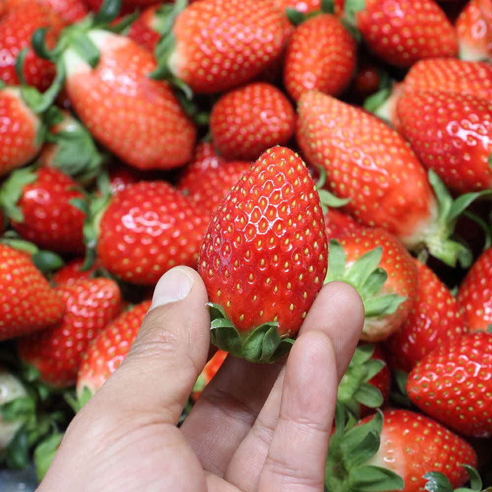 1677137029 thumbnail