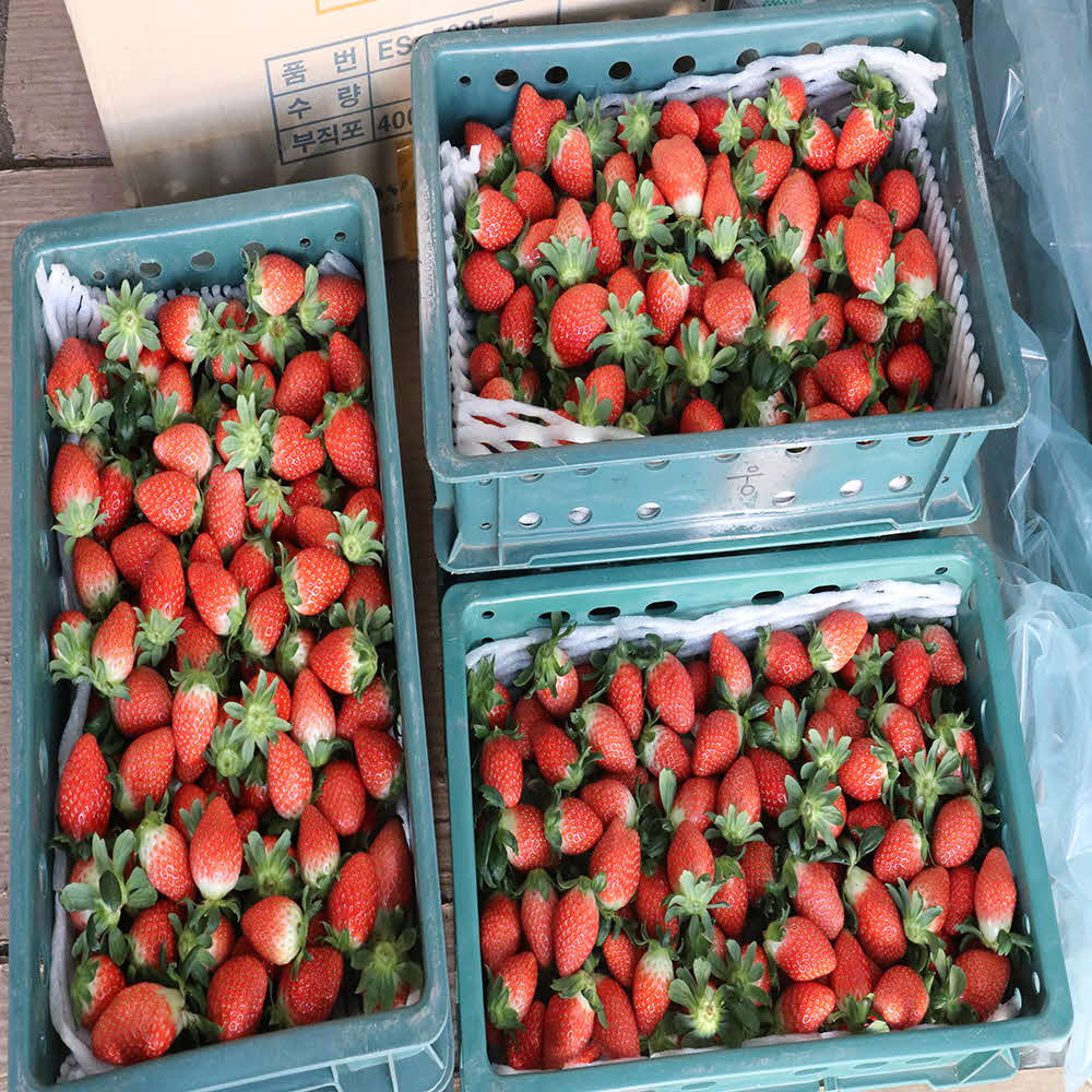 1677137030 thumbnail