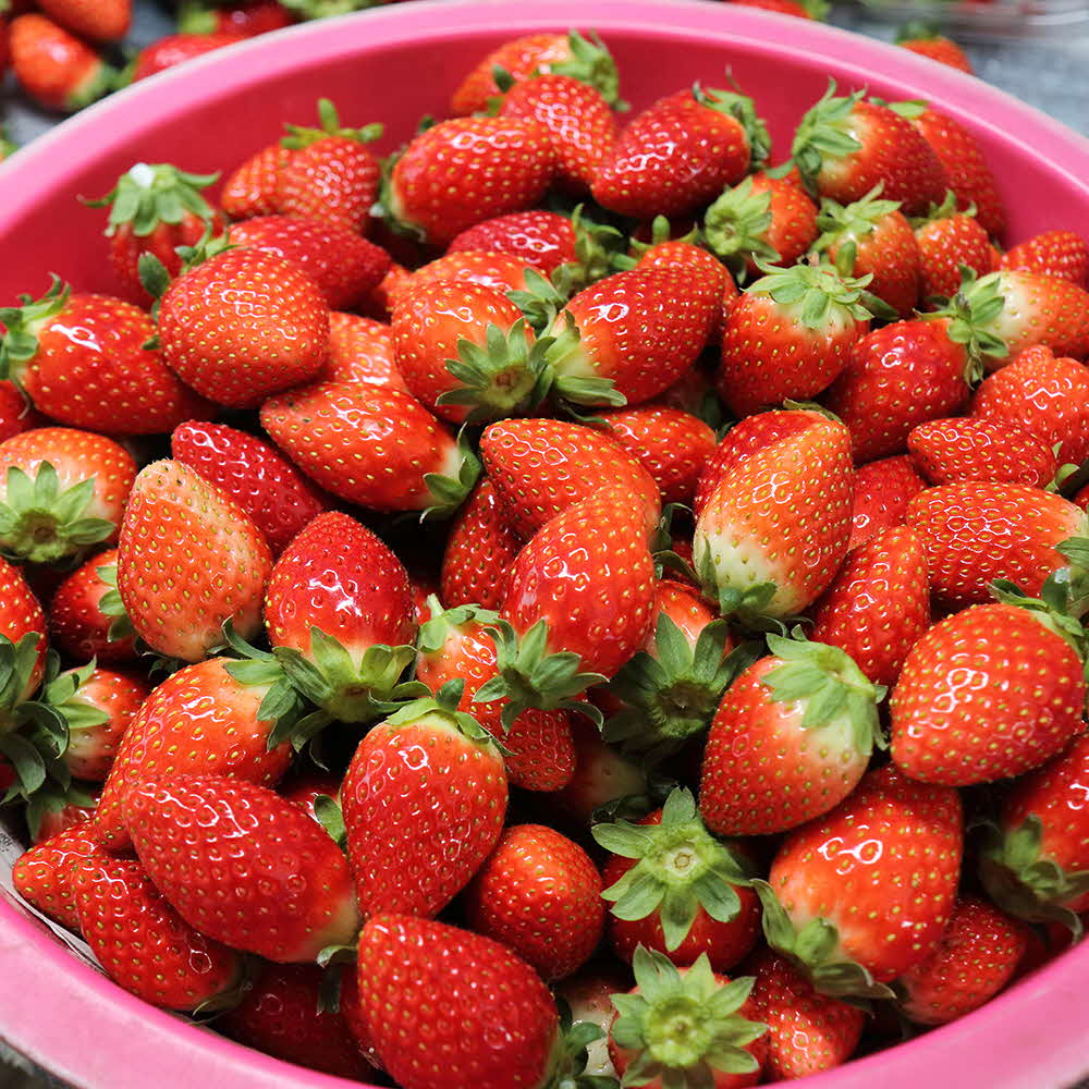 1677137031 thumbnail