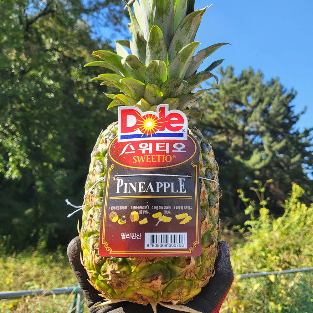 1677137036 thumbnail