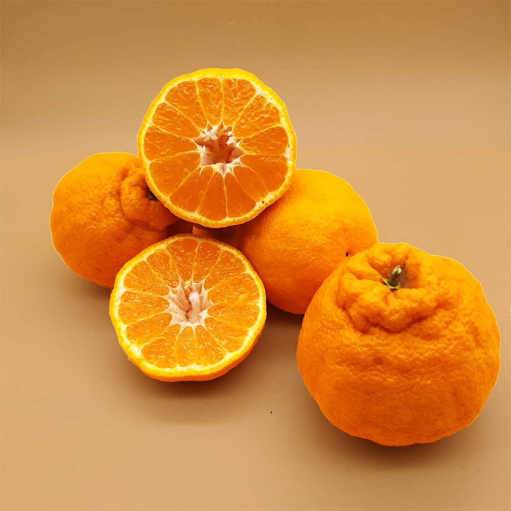 1677137039 thumbnail