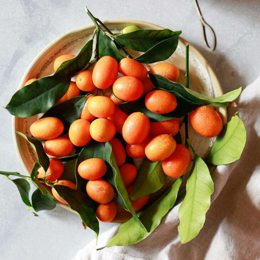 1677137043 thumbnail