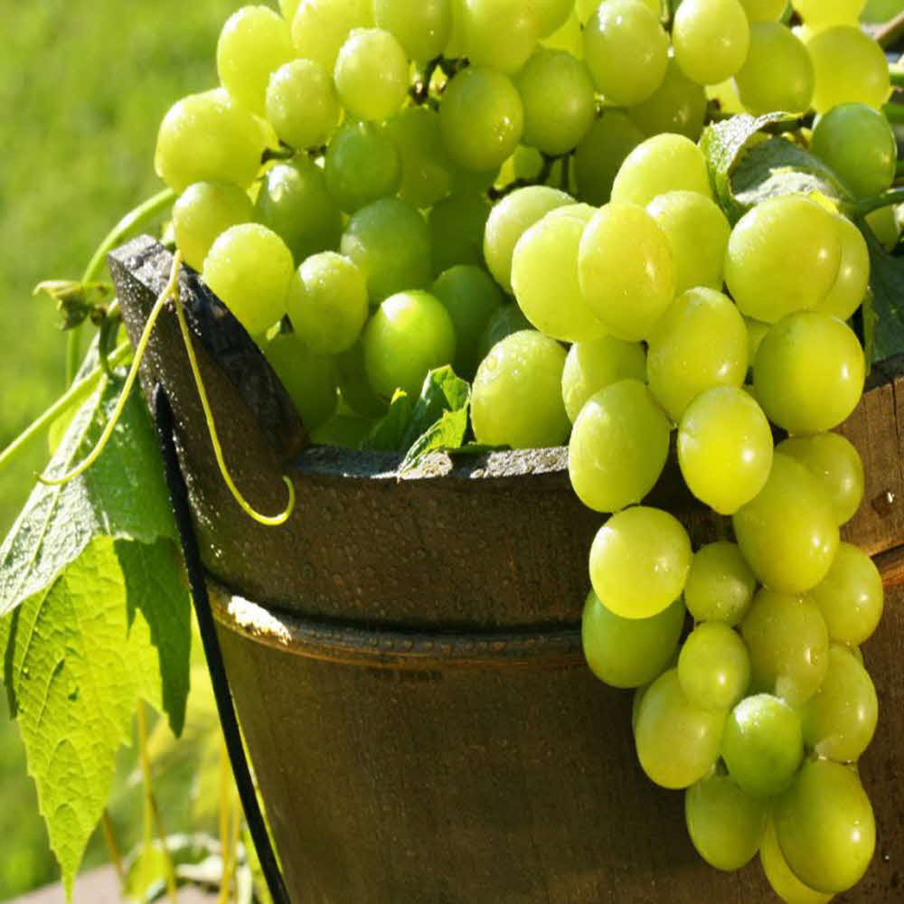 1677137049 thumbnail