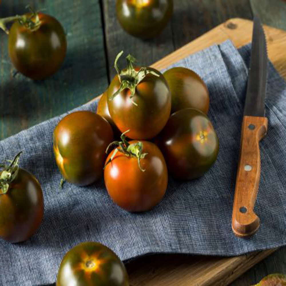 1677137052 thumbnail