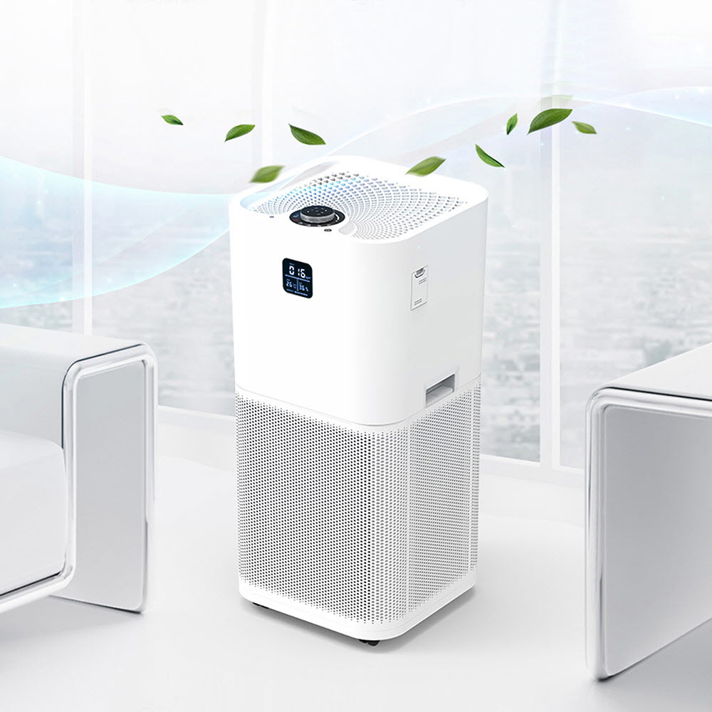 1677226365 thumbnail