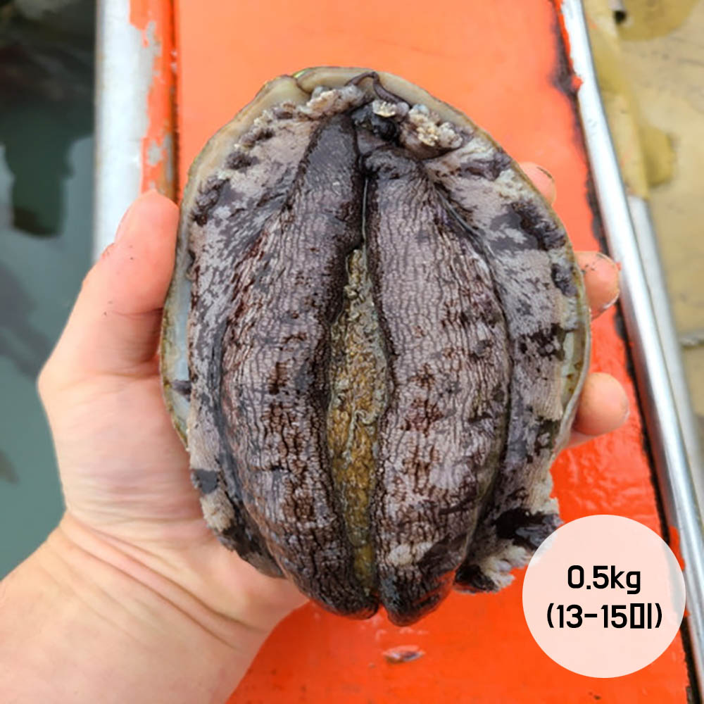 1677546339 thumbnail