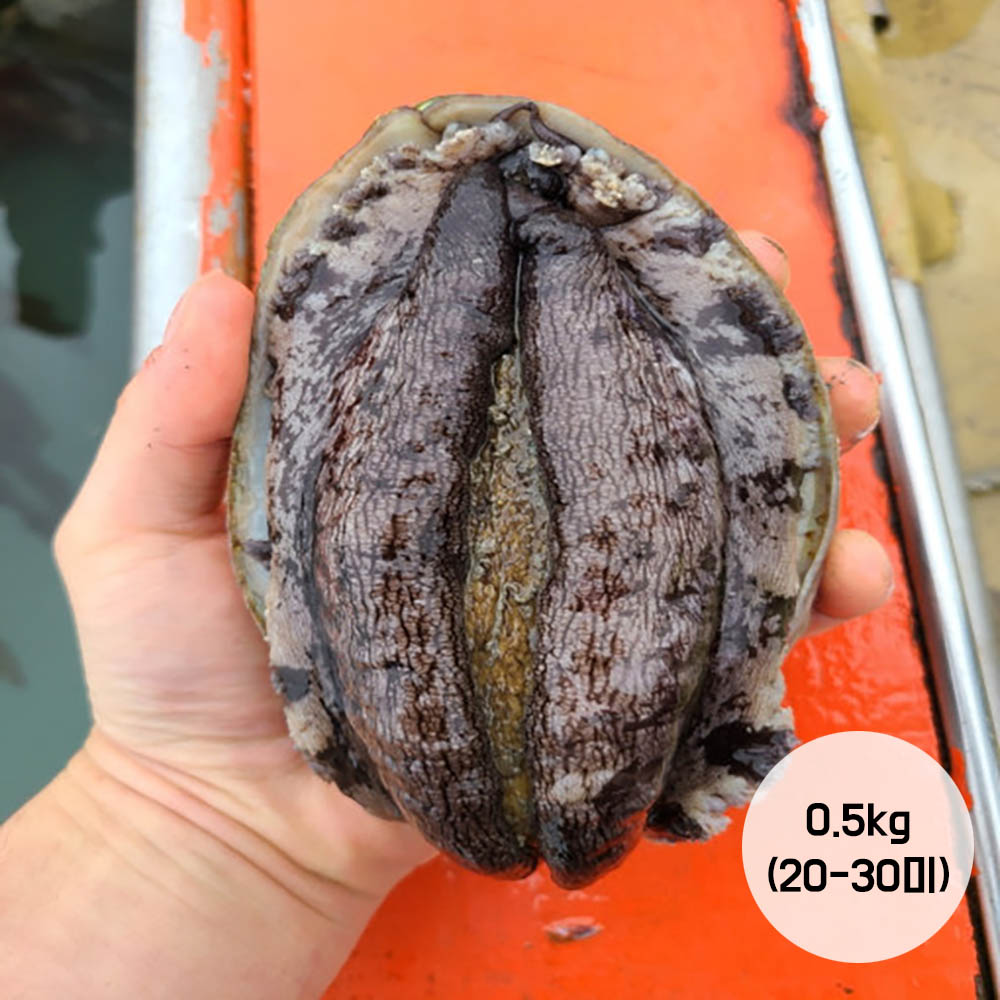 1677546340 thumbnail