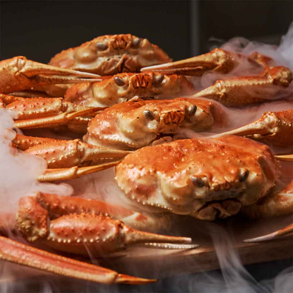 1677824829 thumbnail