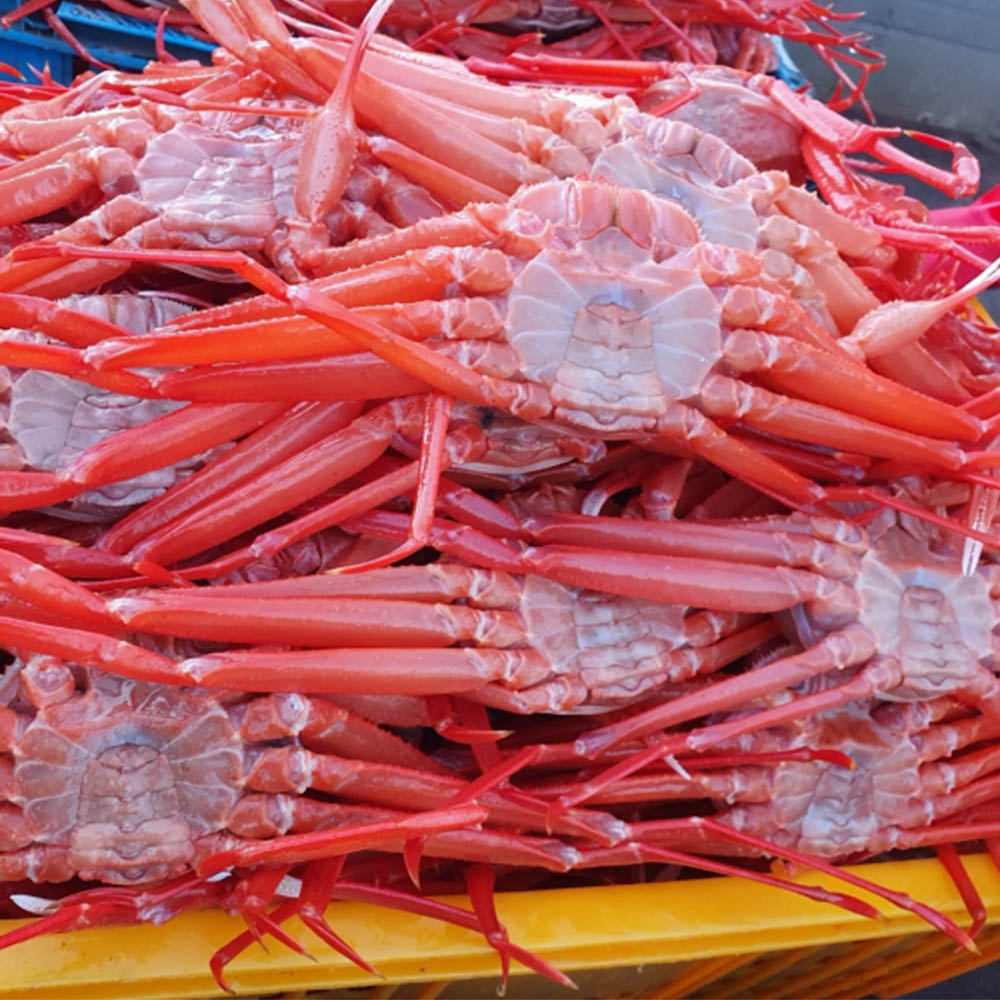 1678237191 thumbnail