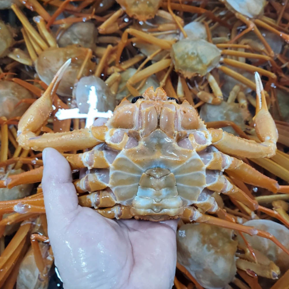 1678237192 thumbnail