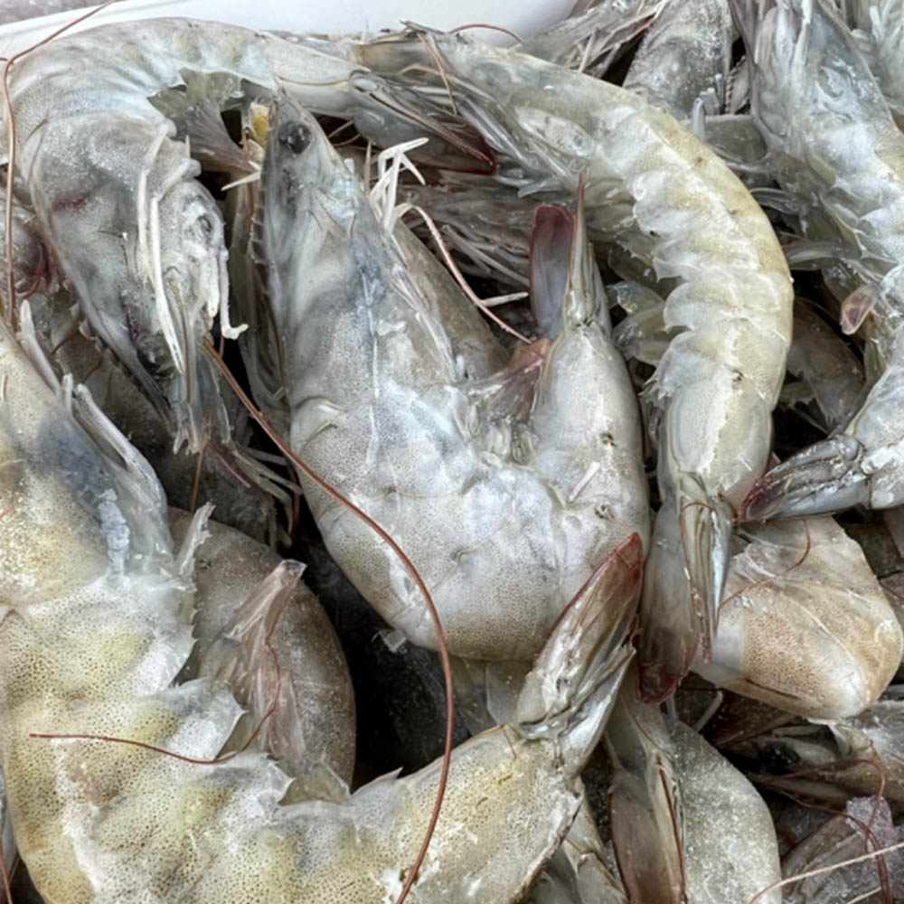 1678237193 thumbnail