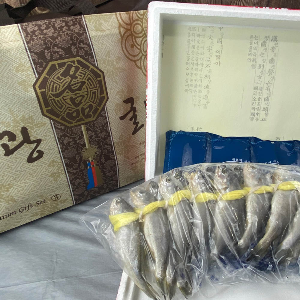 1678237196 thumbnail