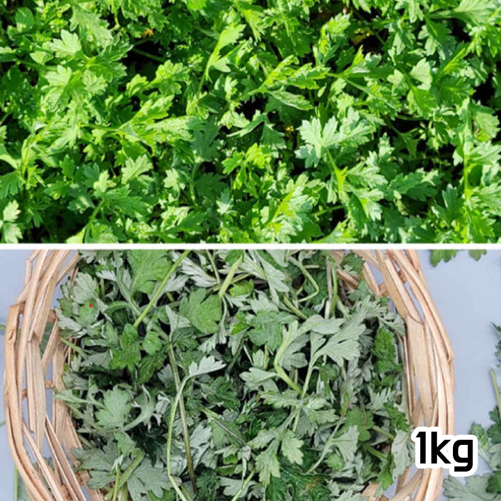 1678237232 thumbnail