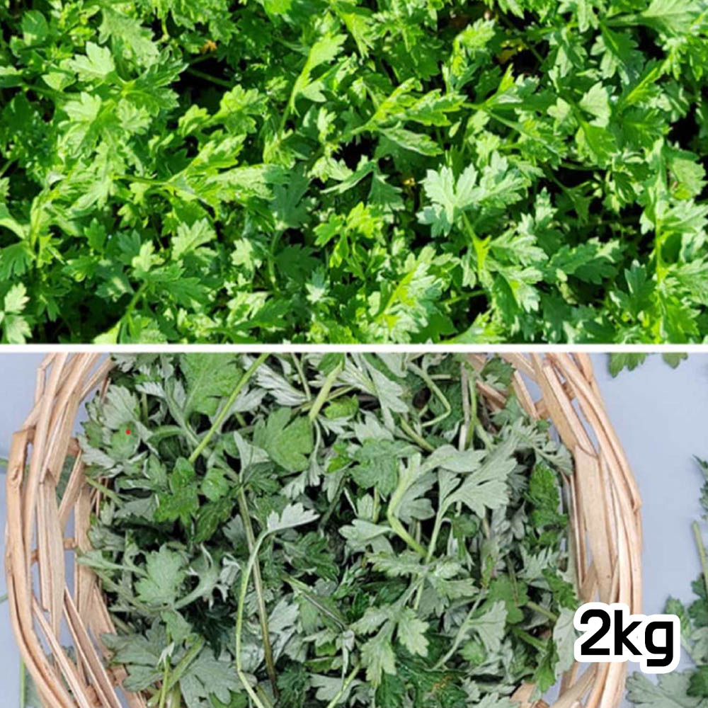 1678237233 thumbnail