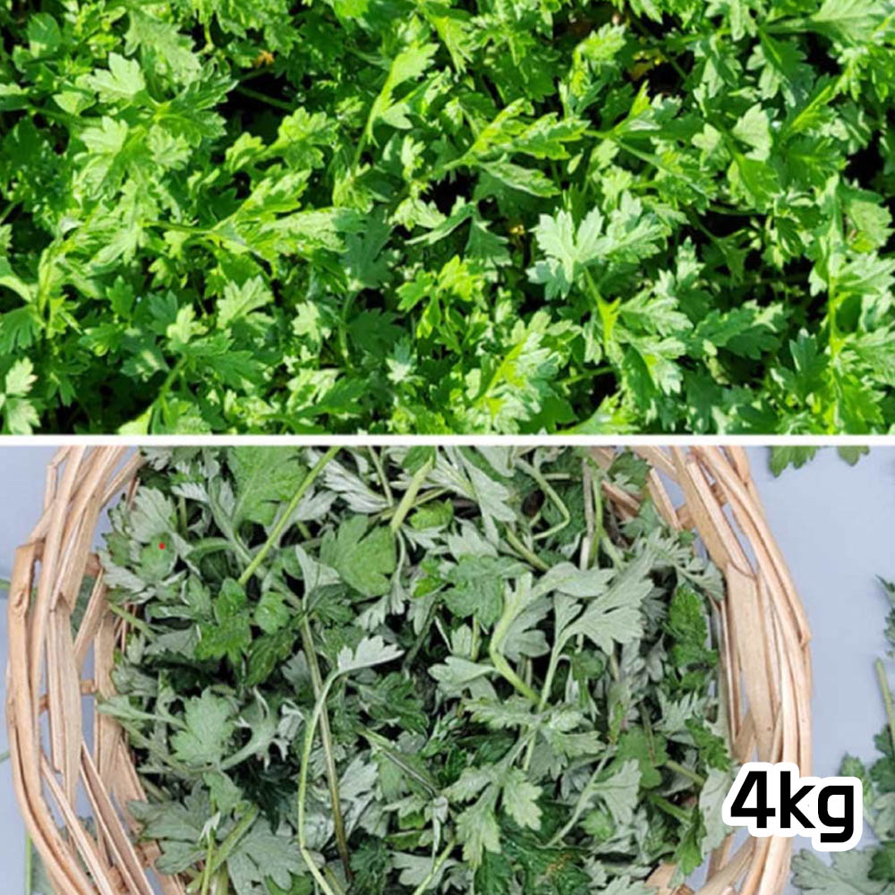 1678237234 thumbnail