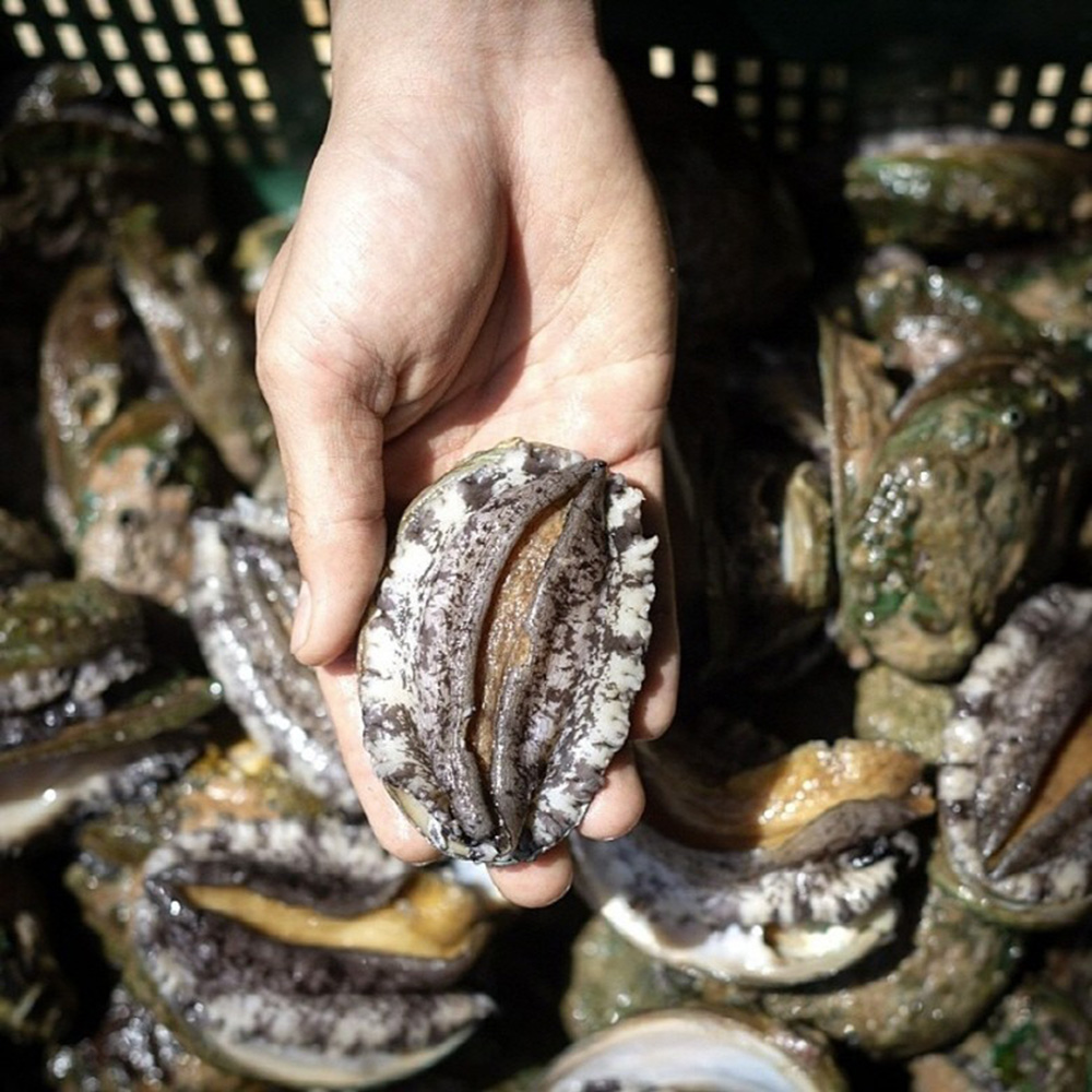 1678261120 thumbnail